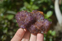 Natural Amethystos Amethyst Specimens x 6 From Kwaggafontein, South Africa - Toprock Gemstones and Minerals 
