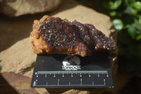 Natural Amethystos Amethyst Specimens x 6 From Kwaggafontein, South Africa - Toprock Gemstones and Minerals 