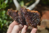 Natural Amethystos Amethyst Specimens x 6 From Kwaggafontein, South Africa - Toprock Gemstones and Minerals 
