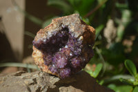 Natural Amethystos Amethyst Specimens x 6 From Kwaggafontein, South Africa - Toprock Gemstones and Minerals 