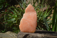 Polished Orange Twist Calcite Leaf Sculpture x 1 From Maevantanana, Madagascar - Toprock Gemstones and Minerals 
