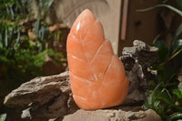 Polished Orange Twist Calcite Leaf Sculpture x 1 From Maevantanana, Madagascar - Toprock Gemstones and Minerals 
