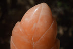 Polished Orange Twist Calcite Leaf Sculpture x 1 From Maevantanana, Madagascar - Toprock Gemstones and Minerals 