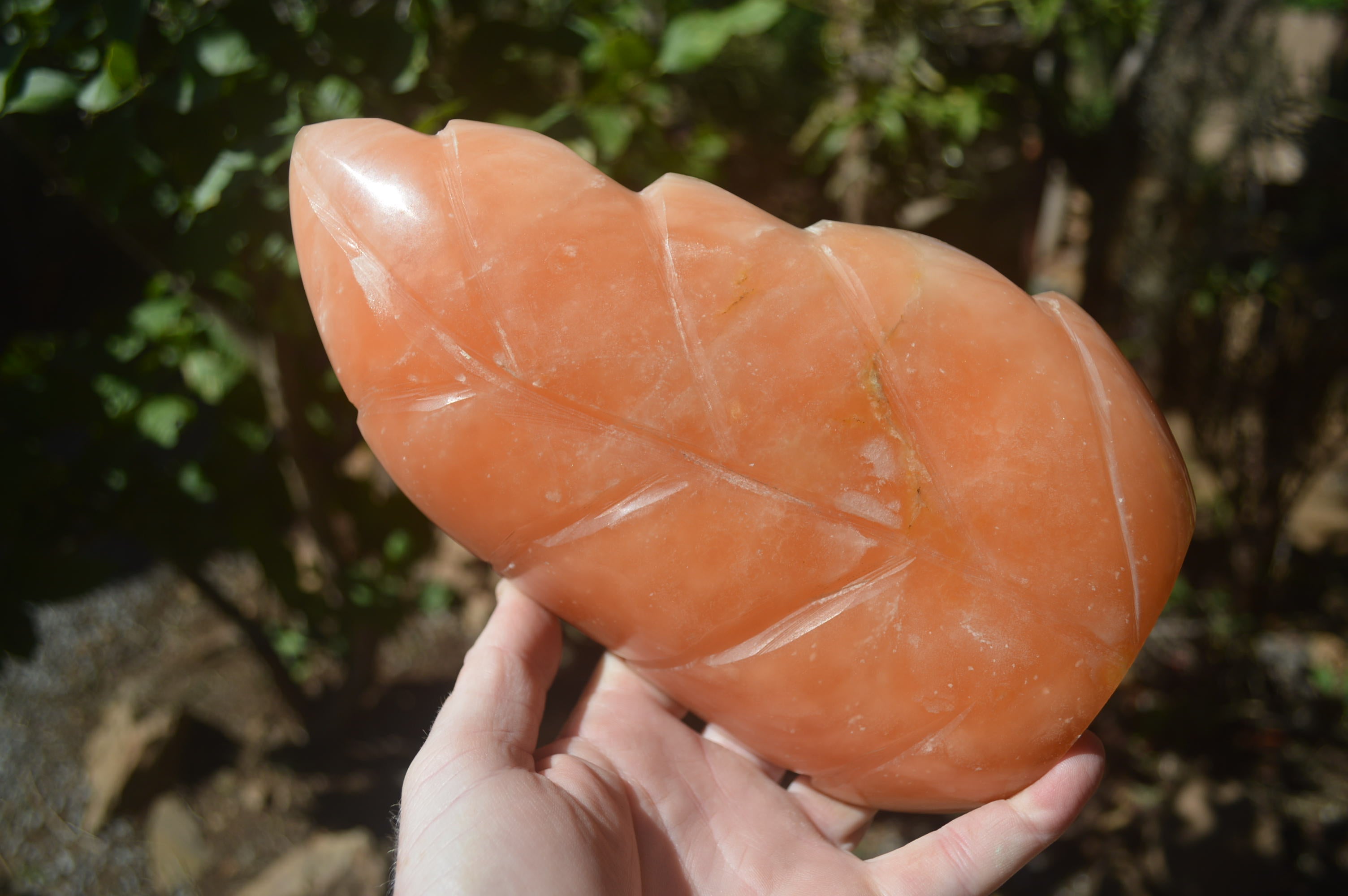 Polished Orange Twist Calcite Leaf Sculpture x 1 From Maevantanana, Madagascar - Toprock Gemstones and Minerals 
