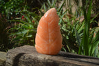 Polished Orange Twist Calcite Leaf Sculpture x 1 From Maevantanana, Madagascar - Toprock Gemstones and Minerals 
