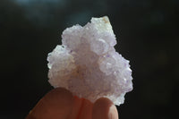Natural Ametrine Spirit Quartz Crystals x 24 From Boekenhouthoek, South Africa