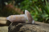 Natural Ametrine Spirit Quartz Crystals x 24 From Boekenhouthoek, South Africa
