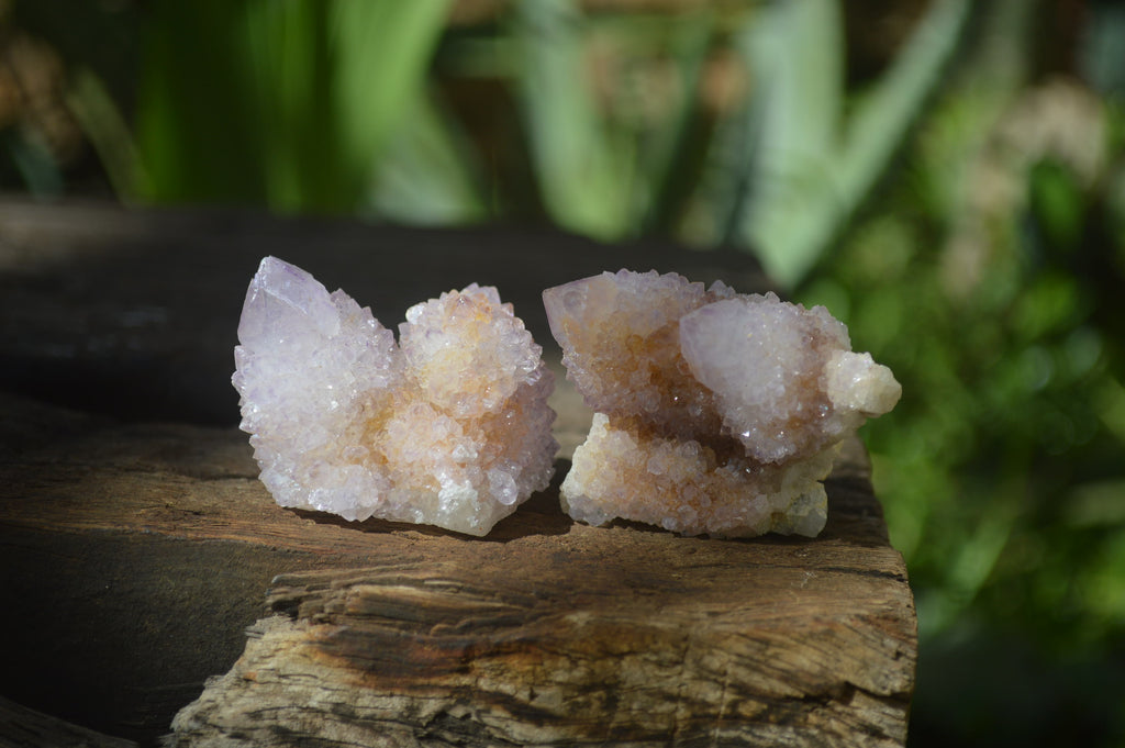 Natural Ametrine Spirit Quartz Crystals x 24 From Boekenhouthoek, South Africa - Toprock Gemstones and Minerals 