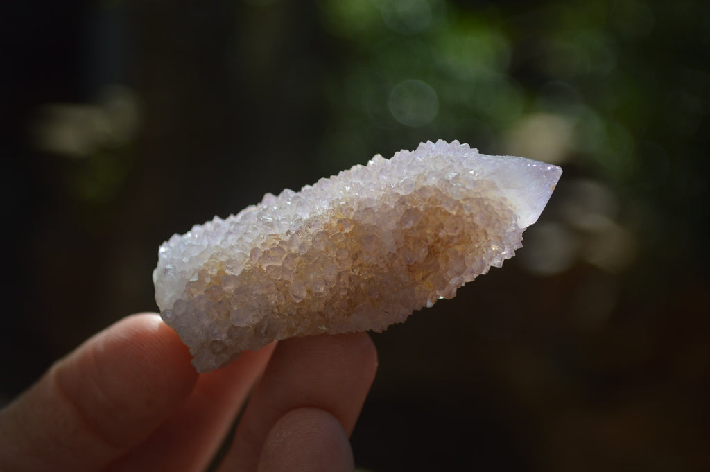 Natural Ametrine Spirit Quartz Crystals x 24 From Boekenhouthoek, South Africa - Toprock Gemstones and Minerals 