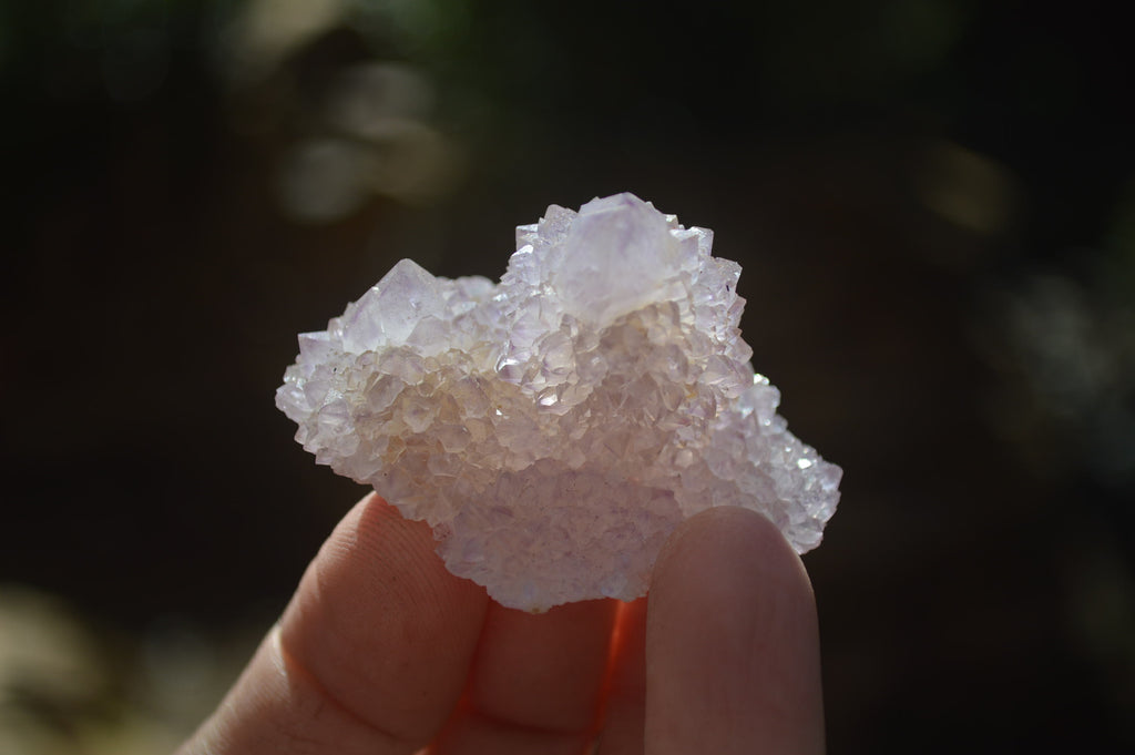 Natural Ametrine Spirit Quartz Crystals x 24 From Boekenhouthoek, South Africa - Toprock Gemstones and Minerals 