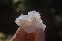 Natural Ametrine Spirit Quartz Crystals x 24 From Boekenhouthoek, South Africa