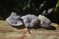 Natural Ametrine Spirit Quartz Crystals x 24 From Boekenhouthoek, South Africa