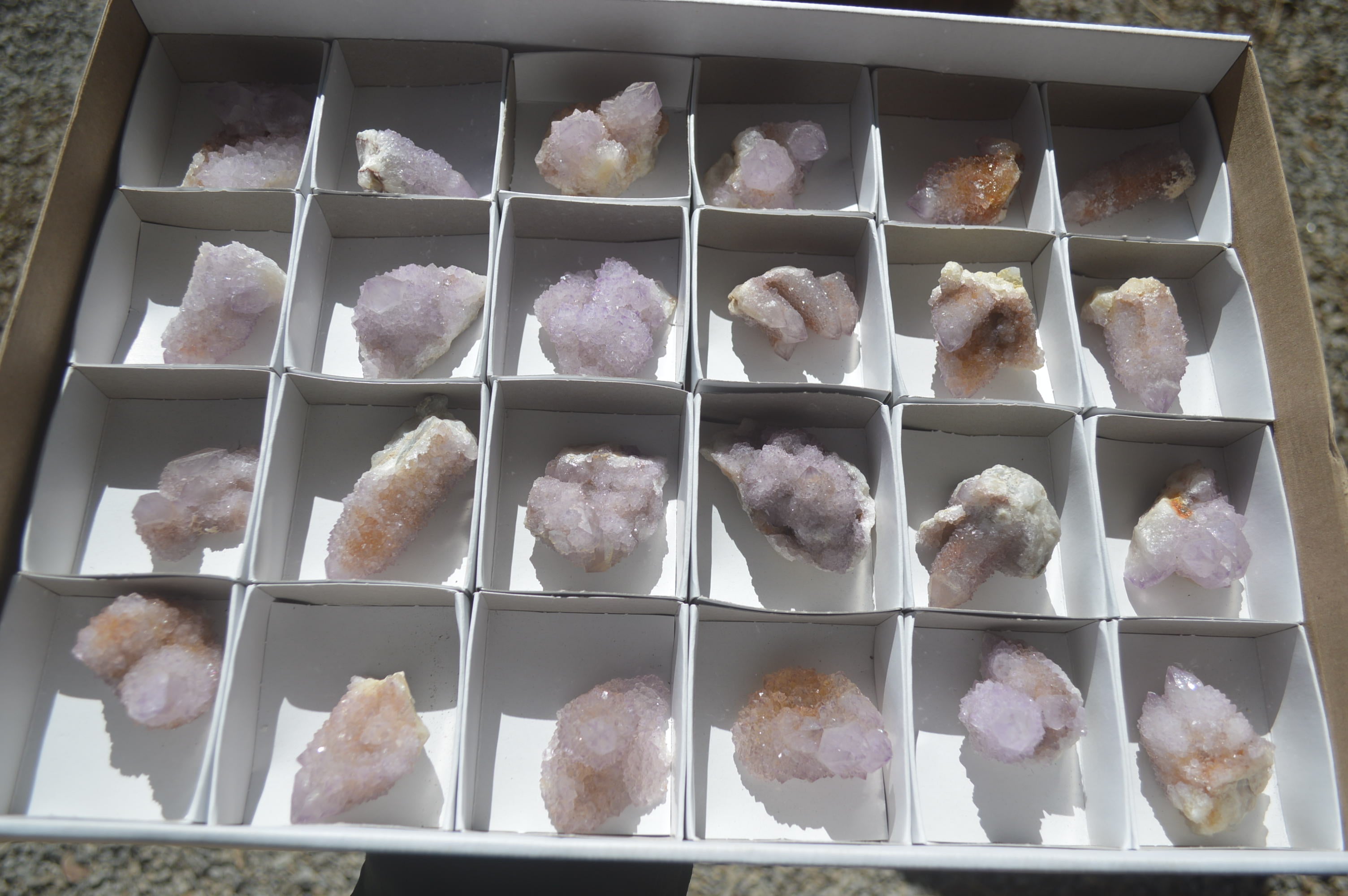 Natural Ametrine Spirit Quartz Crystals x 24 From Boekenhouthoek, South Africa - Toprock Gemstones and Minerals 