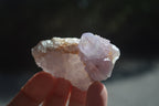 Natural Ametrine Spirit Quartz Crystals x 24 From Boekenhouthoek, South Africa - Toprock Gemstones and Minerals 