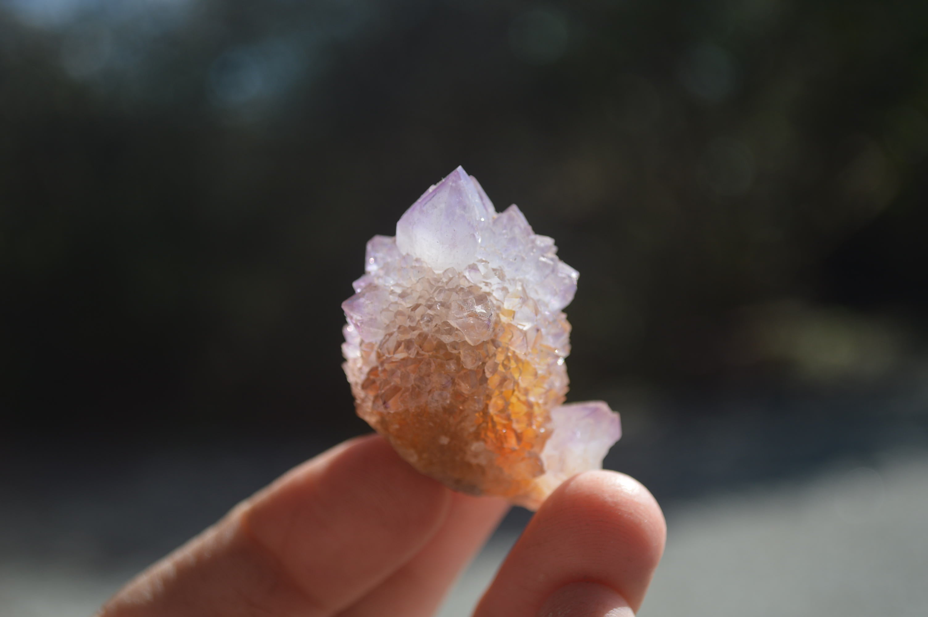 Natural Ametrine Spirit Quartz Crystals x 24 From Boekenhouthoek, South Africa - Toprock Gemstones and Minerals 