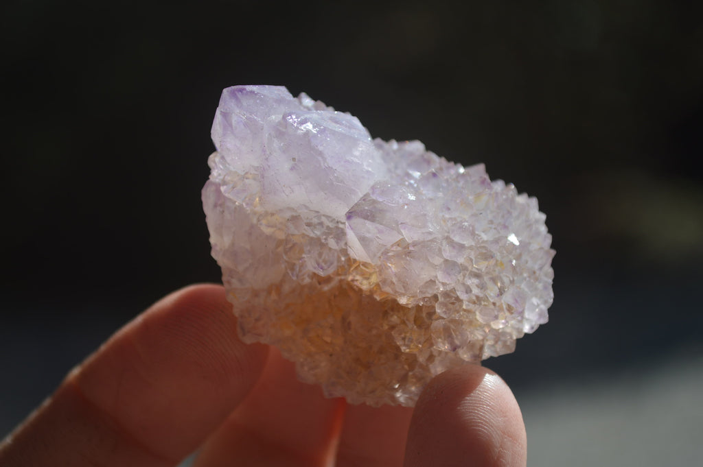 Natural Ametrine Spirit Quartz Crystals x 24 From Boekenhouthoek, South Africa - Toprock Gemstones and Minerals 
