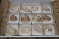 Polished Smokey Phantom Quartz Crystals x 12 From Madagascar - Toprock Gemstones and Minerals 
