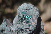 Natural Libethenite Crystals On Dolomite Matrix Specimen x 1 From Shituru, Congo - Toprock Gemstones and Minerals 