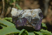 Natural Metallic Purpurite Cobbed Specimens x 12 From Erongo, Namibia - Toprock Gemstones and Minerals 