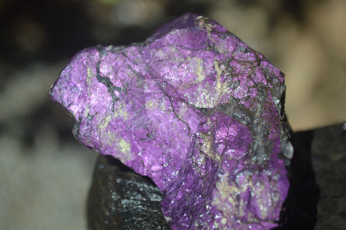Natural Metallic Purpurite Cobbed Specimens x 12 From Erongo, Namibia - Toprock Gemstones and Minerals 