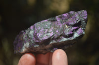 Natural Metallic Purpurite Cobbed Specimens x 12 From Erongo, Namibia - Toprock Gemstones and Minerals 