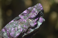 Natural Metallic Purpurite Cobbed Specimens x 12 From Erongo, Namibia - Toprock Gemstones and Minerals 