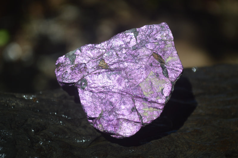 Natural Metallic Purpurite Cobbed Specimens x 12 From Erongo, Namibia - Toprock Gemstones and Minerals 