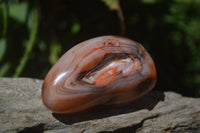 Polished Carnelian Standing Free Forms x 12 From Madagascar - Toprock Gemstones and Minerals 