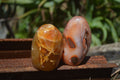Polished Carnelian Standing Free Forms x 12 From Madagascar - Toprock Gemstones and Minerals 