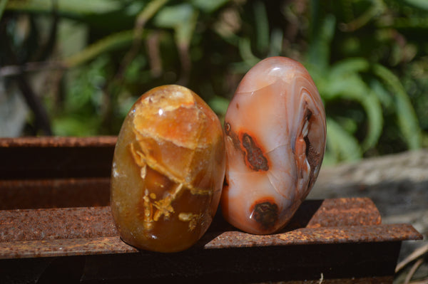 Polished Carnelian Standing Free Forms x 12 From Madagascar - Toprock Gemstones and Minerals 