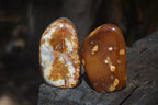 Polished Carnelian Standing Free Forms x 12 From Madagascar - Toprock Gemstones and Minerals 