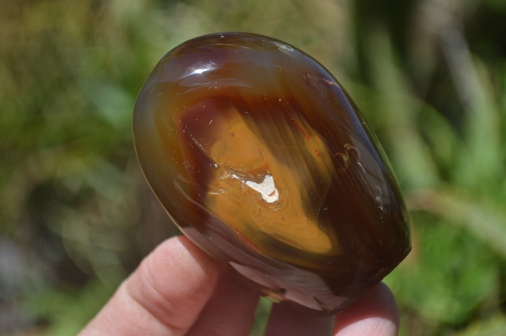 Polished Carnelian Standing Free Forms x 12 From Madagascar - Toprock Gemstones and Minerals 