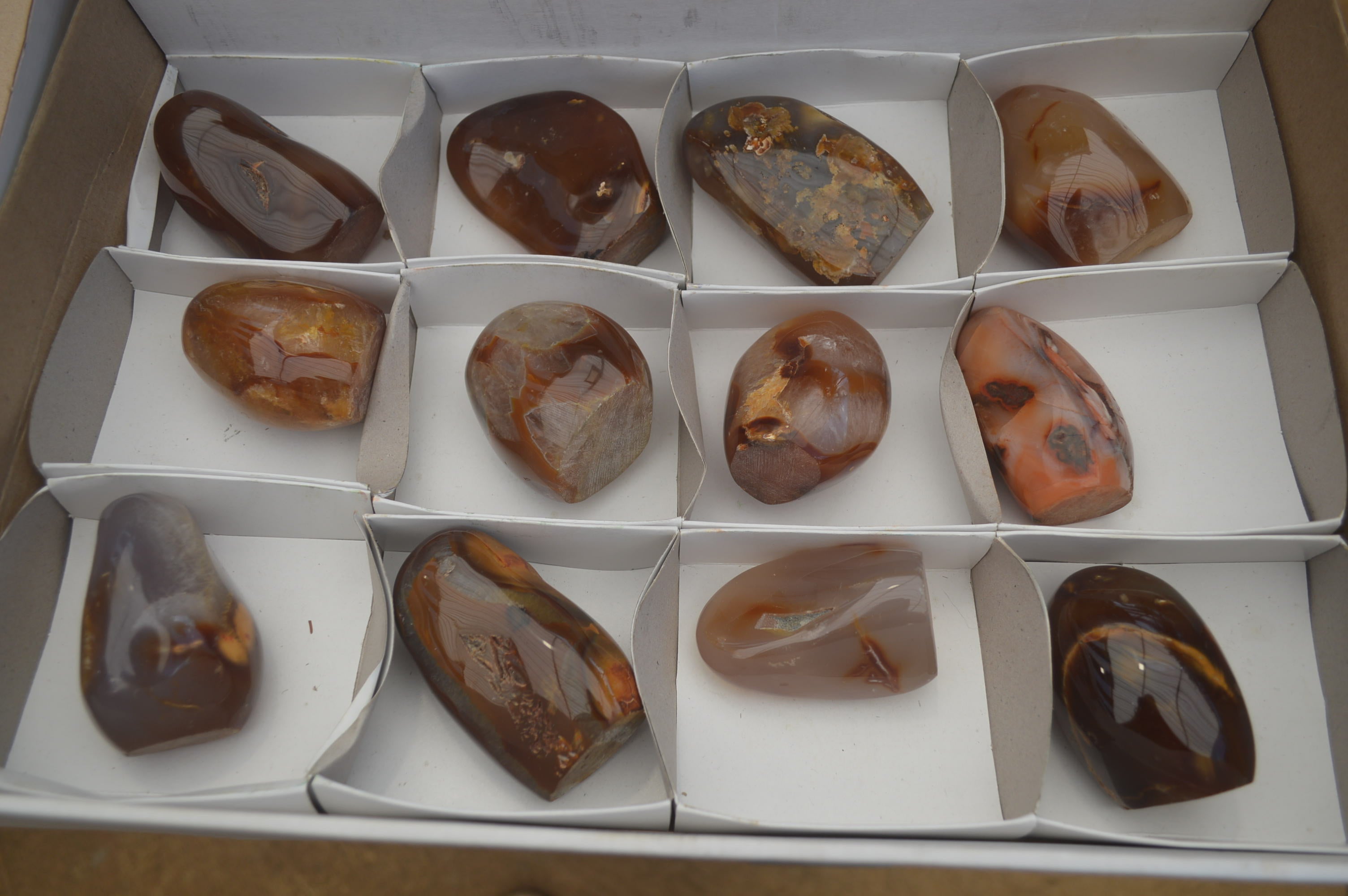 Polished Carnelian Standing Free Forms x 12 From Madagascar - Toprock Gemstones and Minerals 