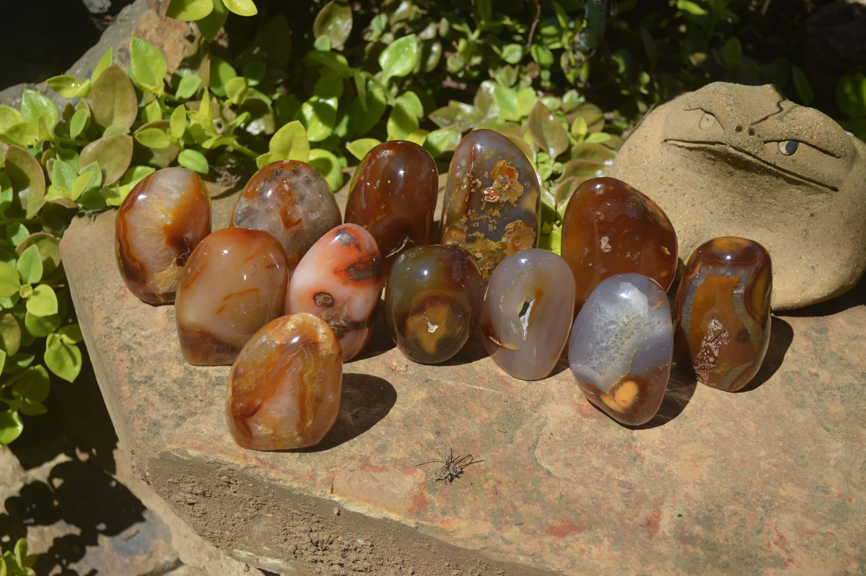 Polished Carnelian Standing Free Forms x 12 From Madagascar - Toprock Gemstones and Minerals 