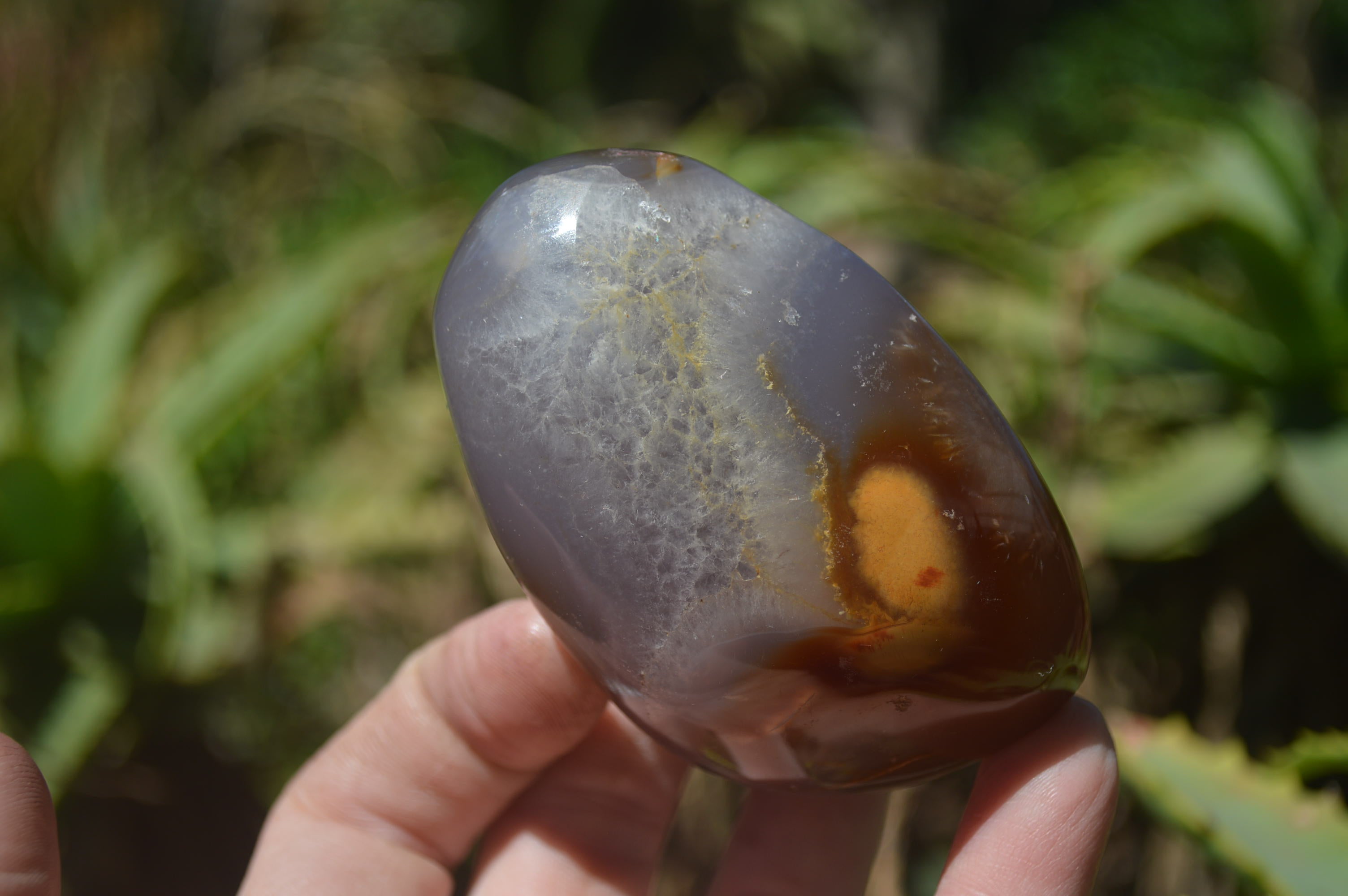 Polished Carnelian Standing Free Forms x 12 From Madagascar - Toprock Gemstones and Minerals 