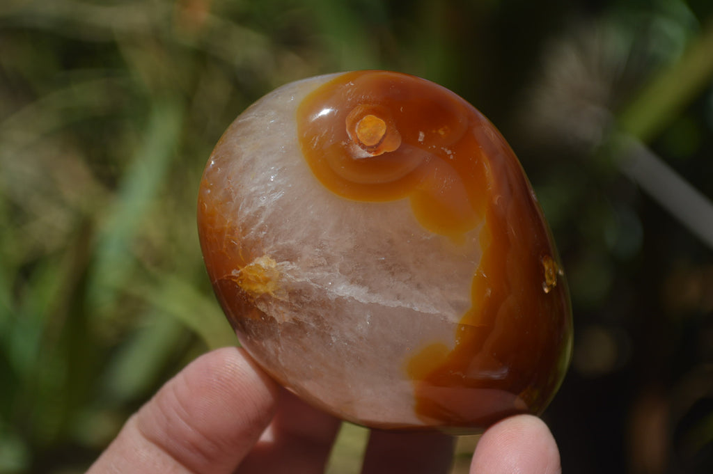 Polished Carnelian Standing Free Forms x 12 From Madagascar - Toprock Gemstones and Minerals 