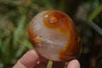 Polished Carnelian Standing Free Forms x 12 From Madagascar - Toprock Gemstones and Minerals 
