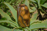 Polished Carnelian Standing Free Forms x 12 From Madagascar - Toprock Gemstones and Minerals 