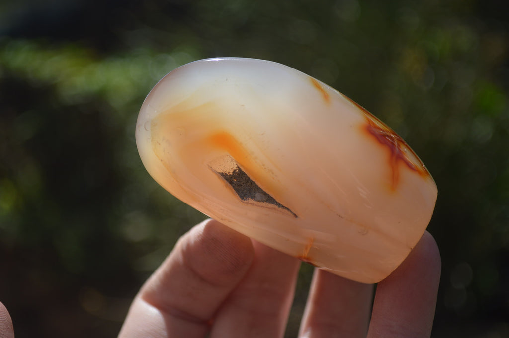 Polished Carnelian Standing Free Forms x 12 From Madagascar - Toprock Gemstones and Minerals 