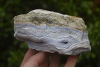 Natural Crystalline Blue Lace Agate Specimens x 3 From Namibia - Toprock Gemstones and Minerals 