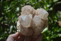 Natural Cascading Smokey Quartz Clusters x 2 From Luena, Congo - Toprock Gemstones and Minerals 