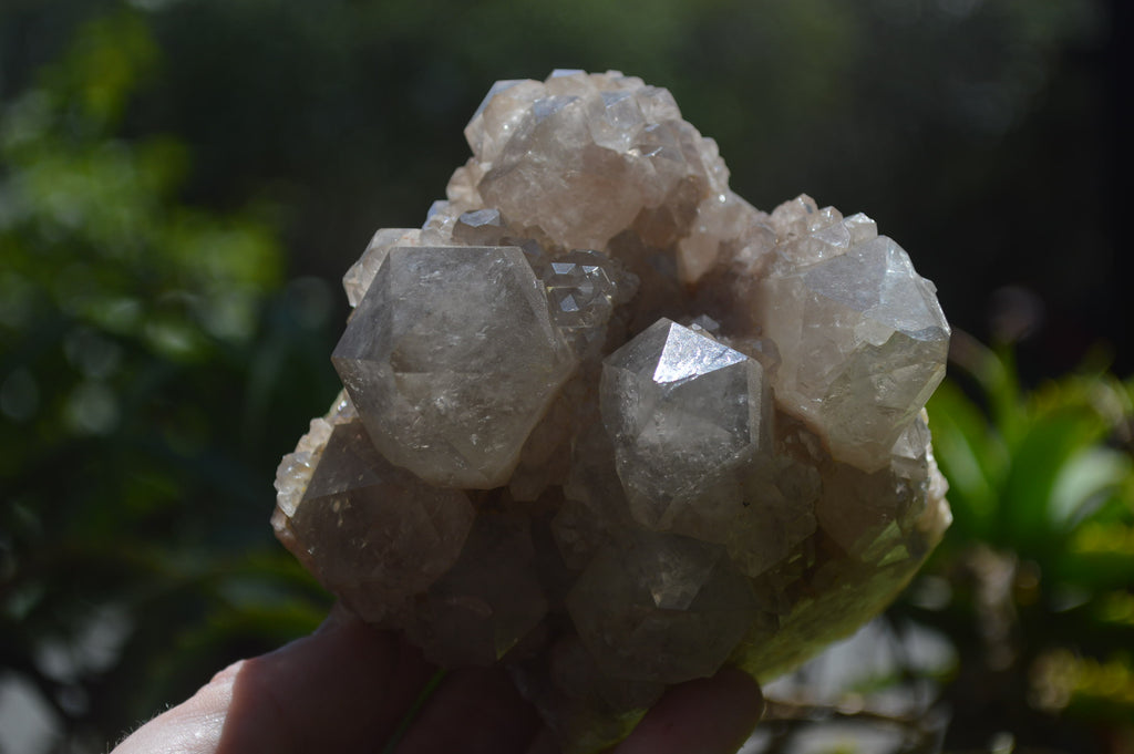 Natural Cascading Smokey Quartz Clusters x 2 From Luena, Congo - Toprock Gemstones and Minerals 