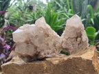 Natural Cascading Smokey Quartz Clusters x 2 From Luena, Congo - Toprock Gemstones and Minerals 