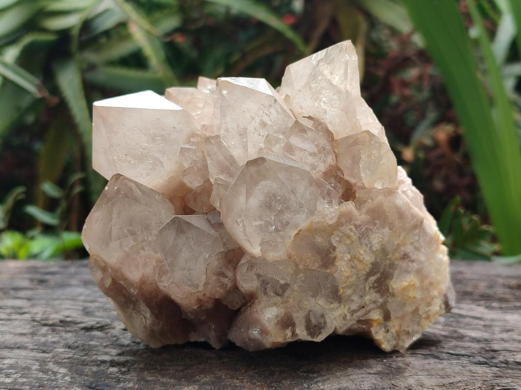 Natural Cascading Smokey Quartz Clusters x 2 From Luena, Congo - Toprock Gemstones and Minerals 