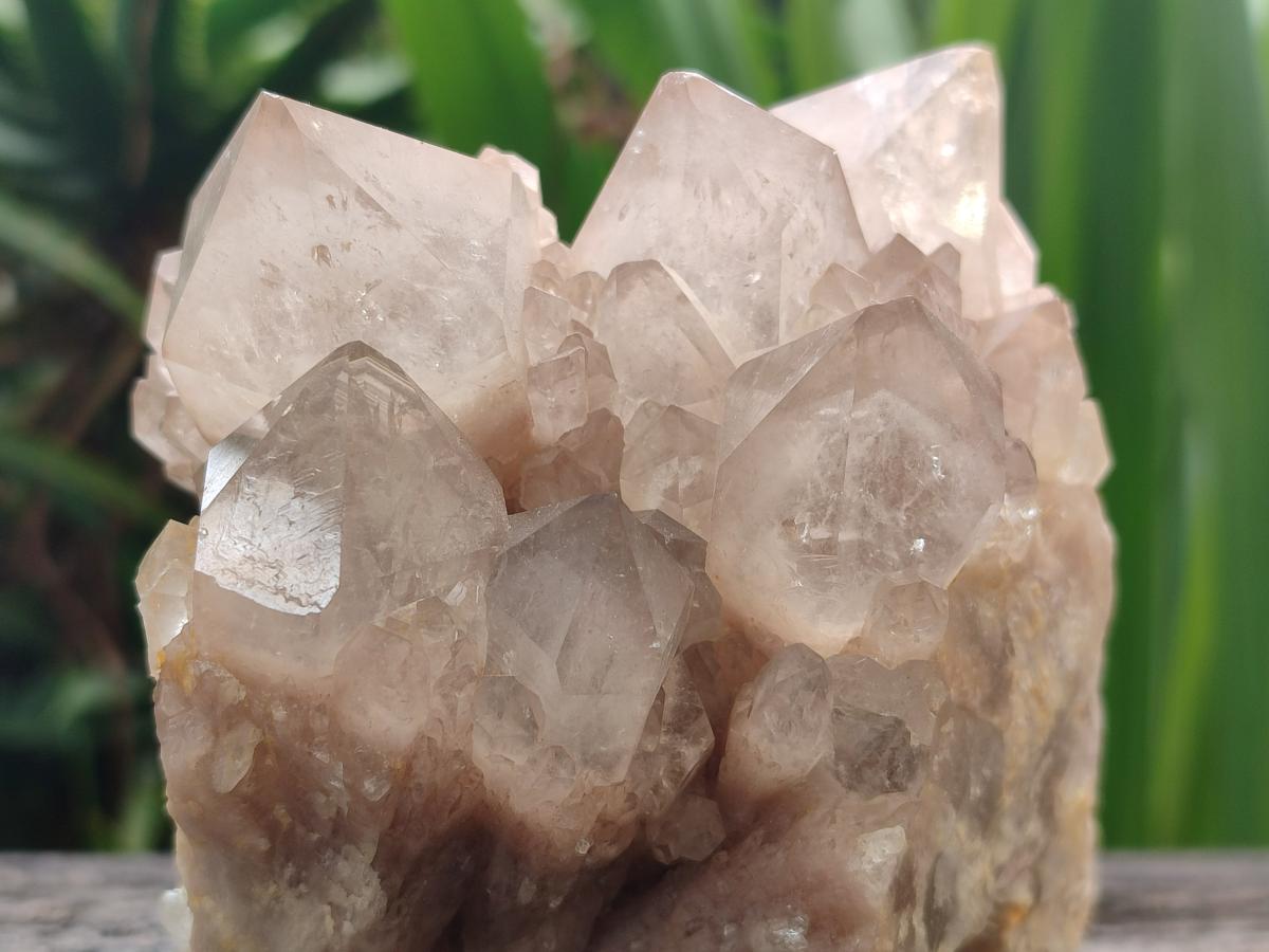 Natural Cascading Smokey Quartz Clusters x 2 From Luena, Congo - Toprock Gemstones and Minerals 