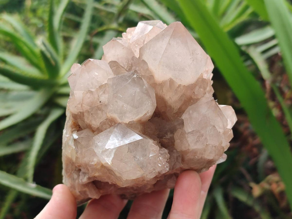Natural Cascading Smokey Quartz Clusters x 2 From Luena, Congo - Toprock Gemstones and Minerals 