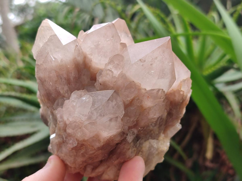 Natural Cascading Smokey Quartz Clusters x 2 From Luena, Congo - Toprock Gemstones and Minerals 