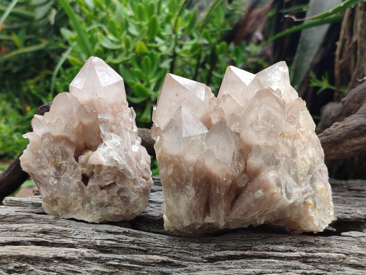 Natural Cascading Smokey Quartz Clusters x 2 From Luena, Congo - Toprock Gemstones and Minerals 