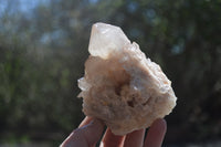 Natural Cascading Smokey Quartz Clusters x 2 From Luena, Congo - Toprock Gemstones and Minerals 