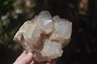 Natural Cascading Smokey Quartz Clusters x 2 From Luena, Congo - Toprock Gemstones and Minerals 